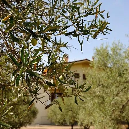 La Casa Degli Ulivi Holiday home