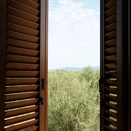 Holiday home La Casa Degli Ulivi