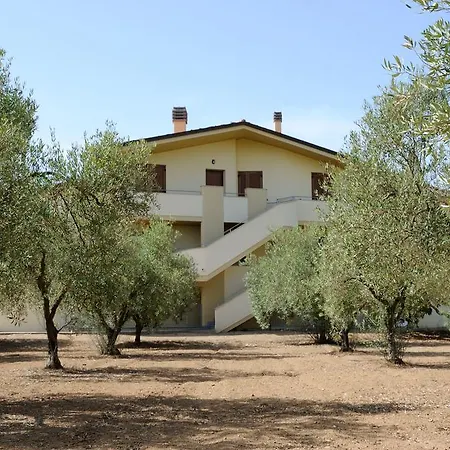 Holiday home La Casa Degli Ulivi *