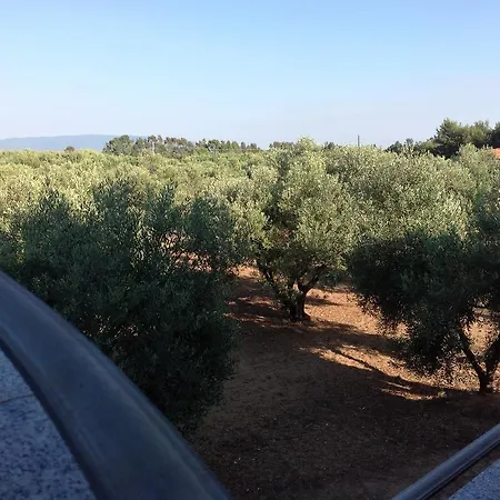 La Casa Degli Ulivi Cabras