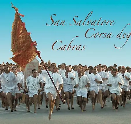 La Casa Degli Ulivi * Cabras